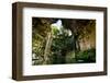 Cenote Falls Chichen Itza Mexico-null-Framed Art Print