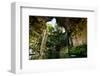 Cenote Falls Chichen Itza Mexico-null-Framed Art Print