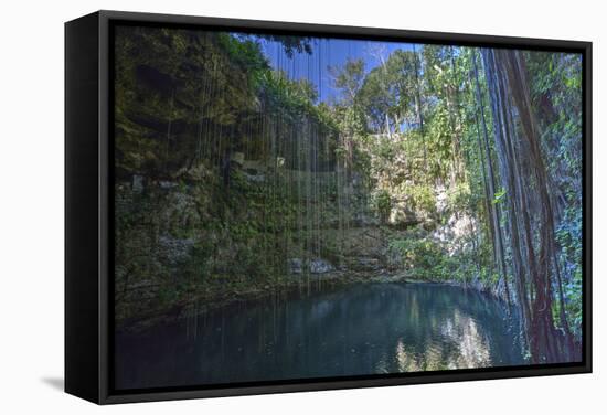 Cenote Ik Kil, Near Chichen Itza, Yucatan, Mexico, North America-Richard Maschmeyer-Framed Stretched Canvas