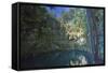 Cenote Ik Kil, Near Chichen Itza, Yucatan, Mexico, North America-Richard Maschmeyer-Framed Stretched Canvas