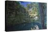 Cenote Ik Kil, Near Chichen Itza, Yucatan, Mexico, North America-Richard Maschmeyer-Stretched Canvas