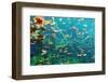 Cenote Underwater-Krzysztof Odziomek-Framed Photographic Print