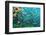 Cenote Underwater-Krzysztof Odziomek-Framed Photographic Print