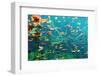 Cenote Underwater-Krzysztof Odziomek-Framed Photographic Print