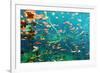 Cenote Underwater-Krzysztof Odziomek-Framed Photographic Print