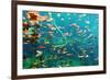 Cenote Underwater-Krzysztof Odziomek-Framed Photographic Print