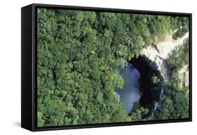 Cenote Xtoloe or Sacred Well, Chichen Itza-null-Framed Stretched Canvas