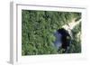 Cenote Xtoloe or Sacred Well, Chichen Itza-null-Framed Photographic Print