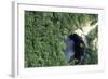 Cenote Xtoloe or Sacred Well, Chichen Itza-null-Framed Photographic Print