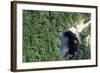 Cenote Xtoloe or Sacred Well, Chichen Itza-null-Framed Photographic Print