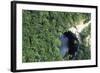 Cenote Xtoloe or Sacred Well, Chichen Itza-null-Framed Photographic Print