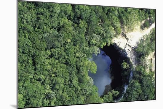 Cenote Xtoloe or Sacred Well, Chichen Itza-null-Mounted Photographic Print