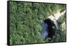 Cenote Xtoloe or Sacred Well, Chichen Itza-null-Framed Stretched Canvas