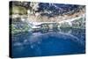 Cenote Zaci, Valladolid, Yucatan, Mexico, North America-Richard Maschmeyer-Stretched Canvas