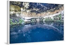 Cenote Zaci, Valladolid, Yucatan, Mexico, North America-Richard Maschmeyer-Framed Photographic Print