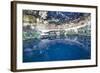 Cenote Zaci, Valladolid, Yucatan, Mexico, North America-Richard Maschmeyer-Framed Photographic Print