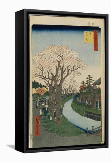 Cent Vues Celebres D'edo : Cherry Blossoms on the Banks of the Tama River (One Hundred Famous Views-Ando or Utagawa Hiroshige-Framed Stretched Canvas