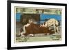 Centaur Dies Struck by a Hunter's Arrow-H. Anetsberger-Framed Art Print