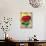 Centaurea Seed Packet-Lantern Press-Art Print displayed on a wall