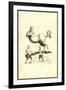 Centaurs & Satyrs-Ulisse Aldrovandi-Framed Art Print