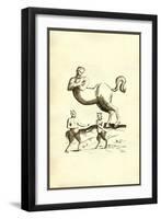 Centaurs & Satyrs-Ulisse Aldrovandi-Framed Art Print