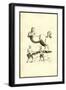 Centaurs & Satyrs-Ulisse Aldrovandi-Framed Art Print