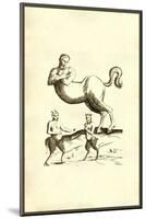 Centaurs & Satyrs-Ulisse Aldrovandi-Mounted Art Print