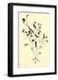 Centenaire (No Text)-Wassily Kandinsky-Framed Art Print