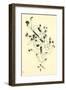 Centenaire (No Text)-Wassily Kandinsky-Framed Art Print