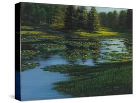 Center Isle-Bruce Dumas-Stretched Canvas