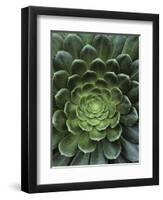 Center of Cactus-Charles O'Rear-Framed Photographic Print