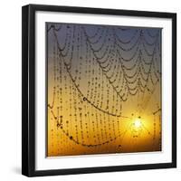 Center of its Universe-Adrian Campfield-Framed Premium Photographic Print