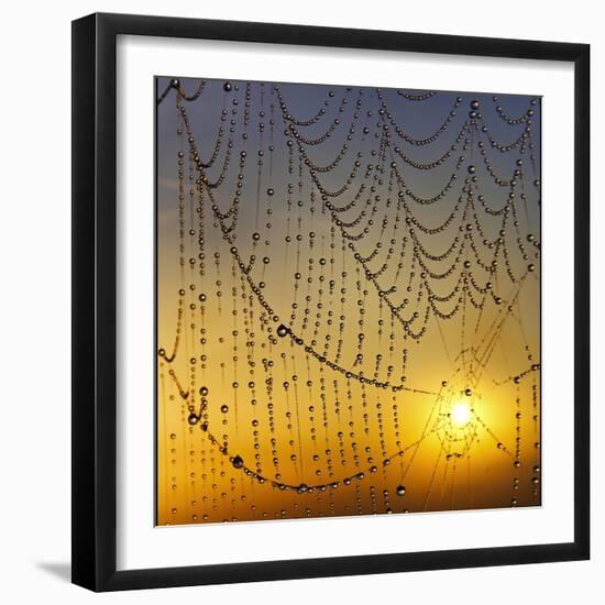 Center of its Universe-Adrian Campfield-Framed Premium Photographic Print