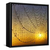 Center of its Universe-Adrian Campfield-Framed Stretched Canvas