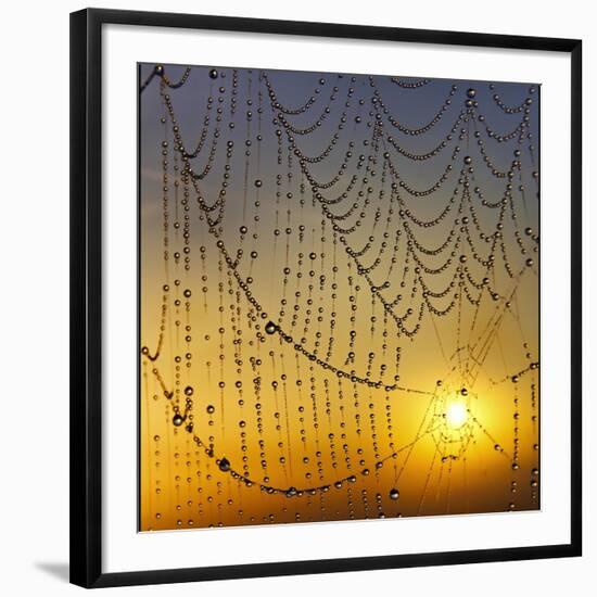 Center of its Universe-Adrian Campfield-Framed Photographic Print