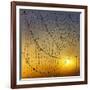 Center of its Universe-Adrian Campfield-Framed Photographic Print