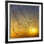 Center of its Universe-Adrian Campfield-Framed Photographic Print