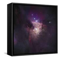 Center of the Orion Nebula (The Trapezium Cluster)-Stocktrek Images-Framed Stretched Canvas