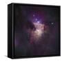 Center of the Orion Nebula (The Trapezium Cluster)-Stocktrek Images-Framed Stretched Canvas