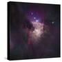 Center of the Orion Nebula (The Trapezium Cluster)-Stocktrek Images-Stretched Canvas