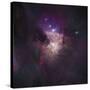 Center of the Orion Nebula (The Trapezium Cluster)-Stocktrek Images-Stretched Canvas