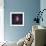 Center of the Orion Nebula (The Trapezium Cluster)-Stocktrek Images-Framed Photographic Print displayed on a wall