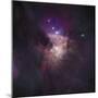 Center of the Orion Nebula (The Trapezium Cluster)-Stocktrek Images-Mounted Photographic Print