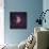 Center of the Orion Nebula (The Trapezium Cluster)-Stocktrek Images-Photographic Print displayed on a wall