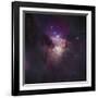 Center of the Orion Nebula (The Trapezium Cluster)-Stocktrek Images-Framed Photographic Print