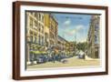 Brown Frame