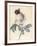 Centifolia Rose with Peacock Butterfly-Pierre Joseph Redoute-Framed Giclee Print