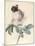 Centifolia Rose with Peacock Butterfly-Pierre Joseph Redoute-Mounted Giclee Print