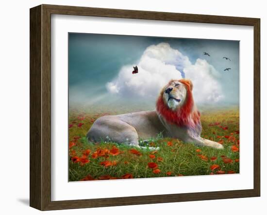 Centinoodle-Lynne Davies-Framed Photographic Print