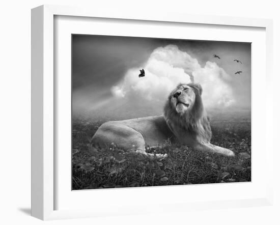 Centinoodle-Lynne Davies-Framed Photographic Print